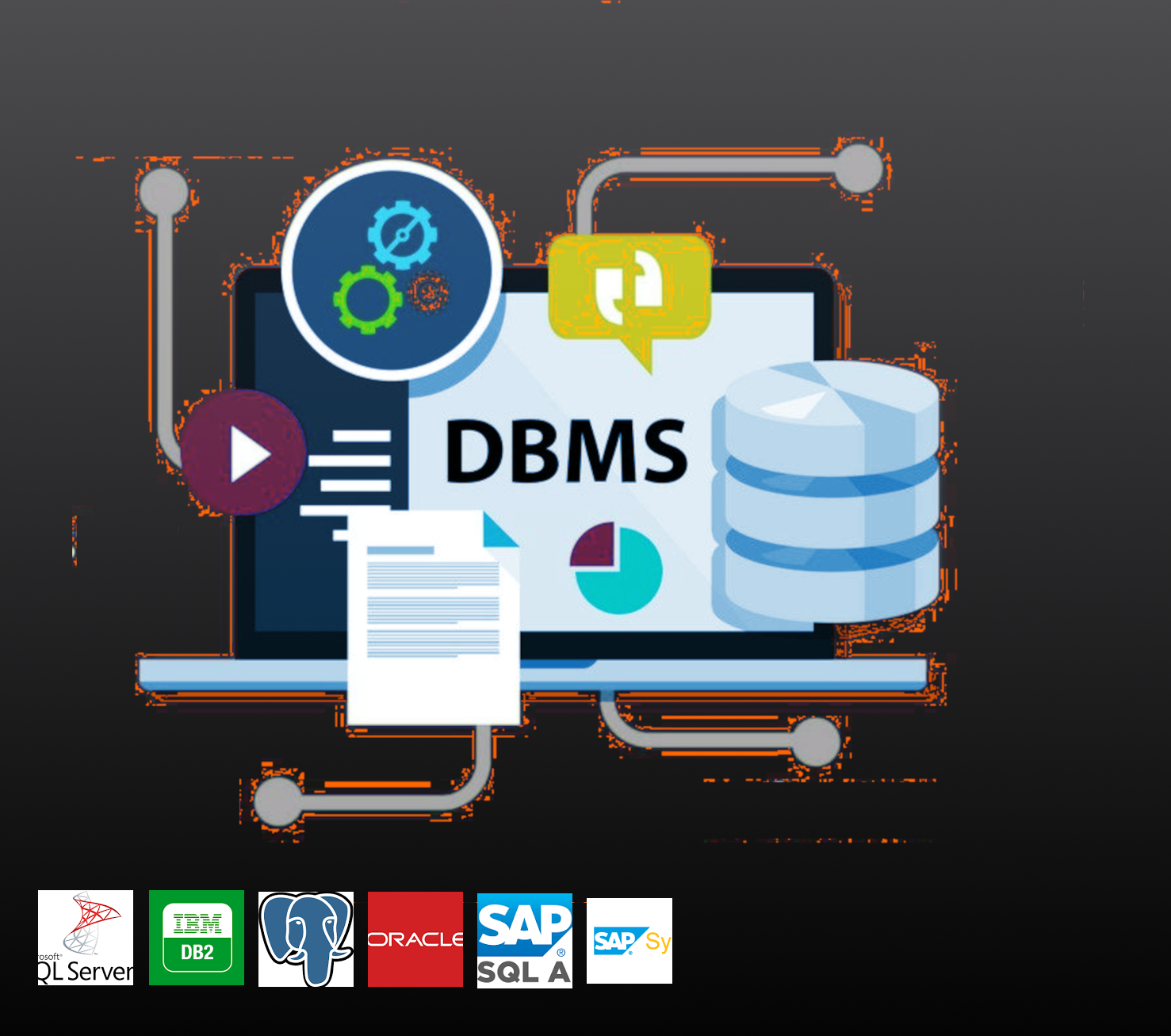 DBMS (Datenbank Management System)